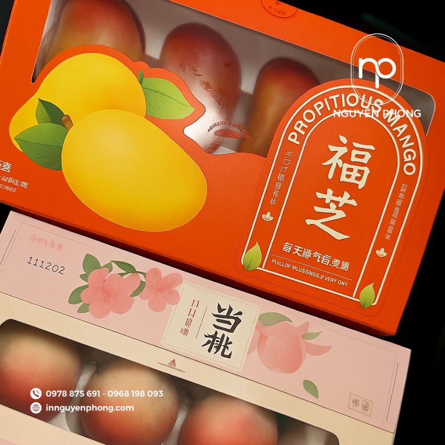 in-hop-carton dung-xoai-gia-re-tai=ha-noi